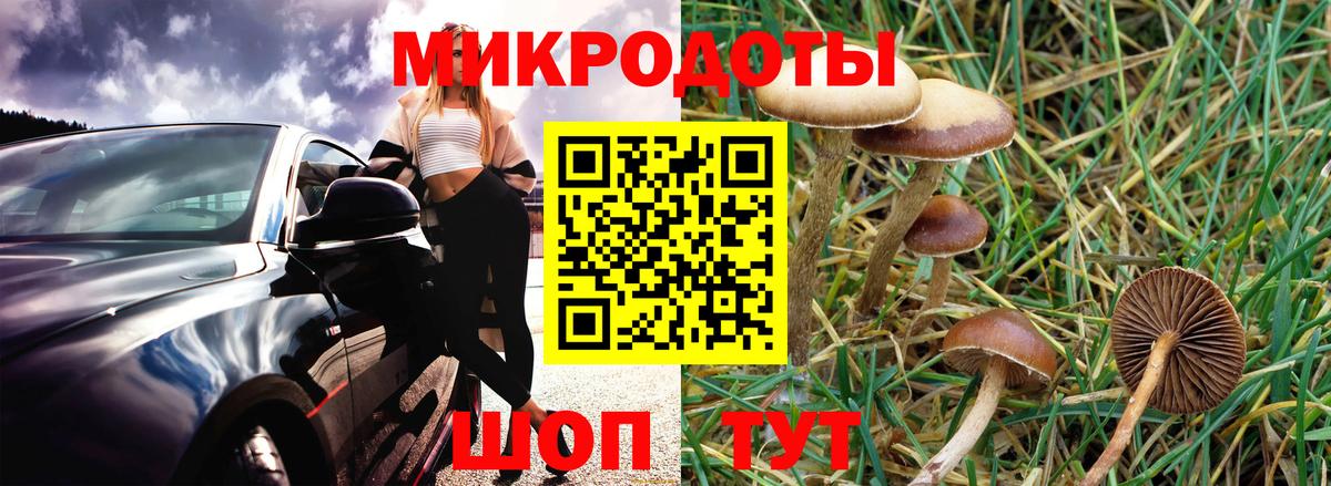 Псилоцибиновые грибы MAGIC MUSHROOMS  Вход с VPN  Гусев 