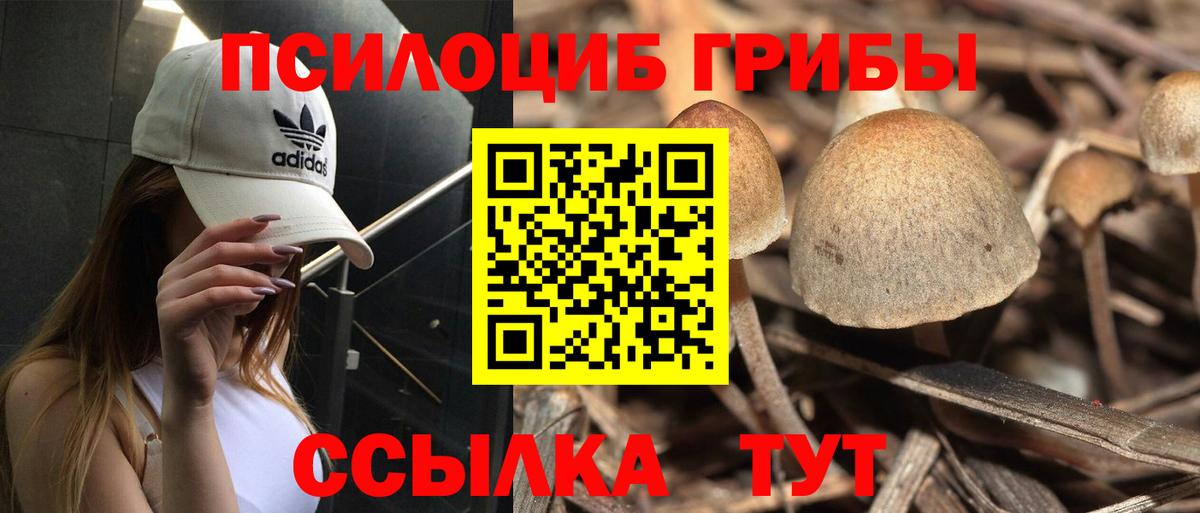 Галлюциногенные грибы прущие грибы Гусев