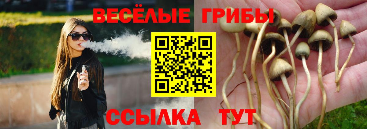 Галлюциногенные грибы мицелий Гусев