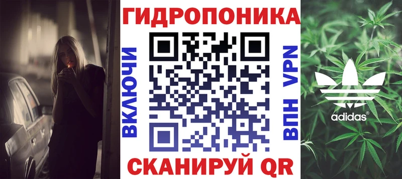 где найти Гусев Каннабис семена